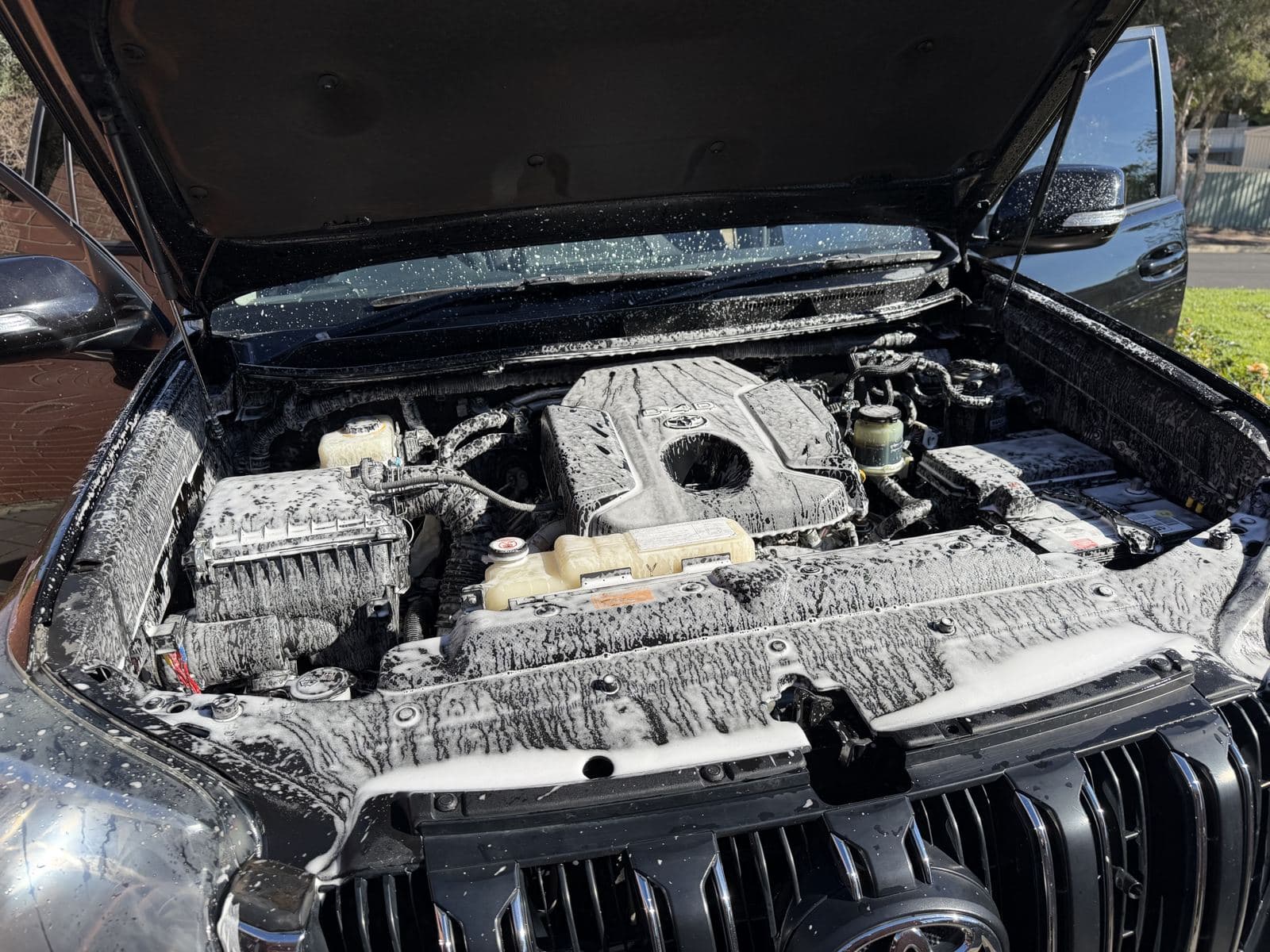Engine bay degrease in progress