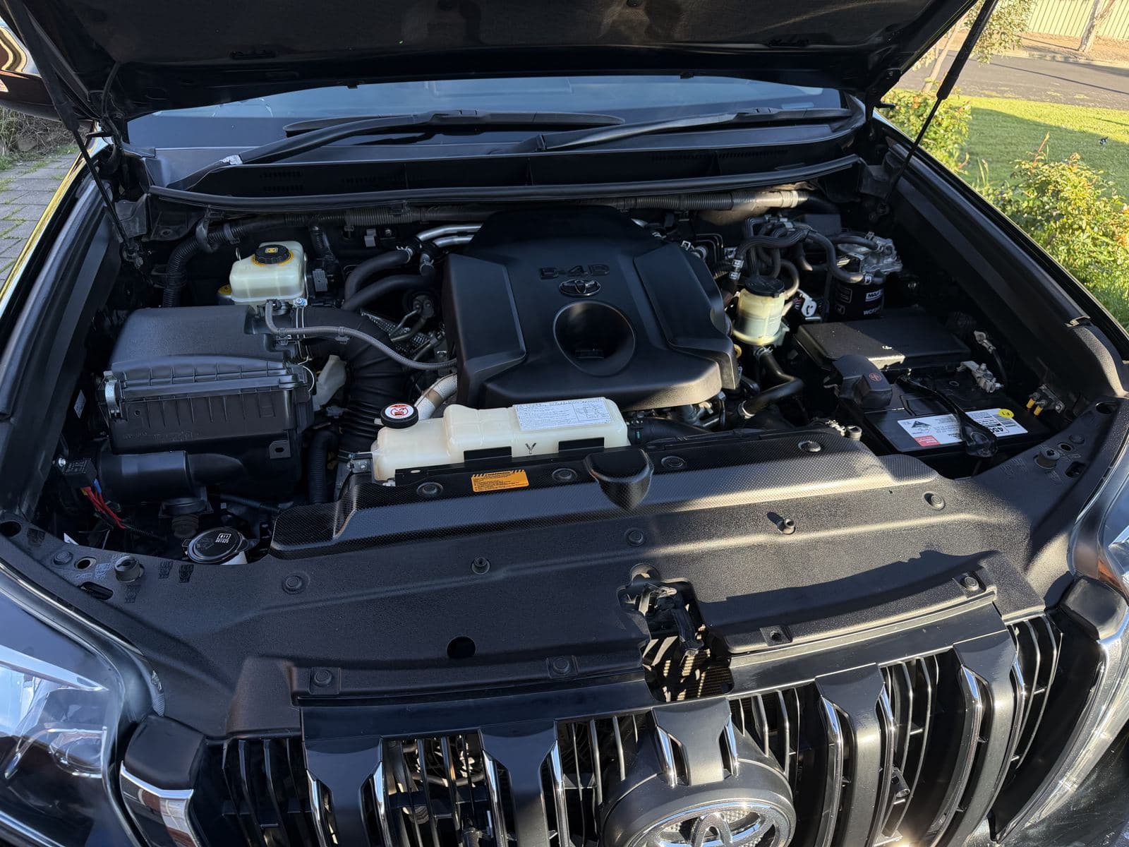 Engine bay detailed and dressed