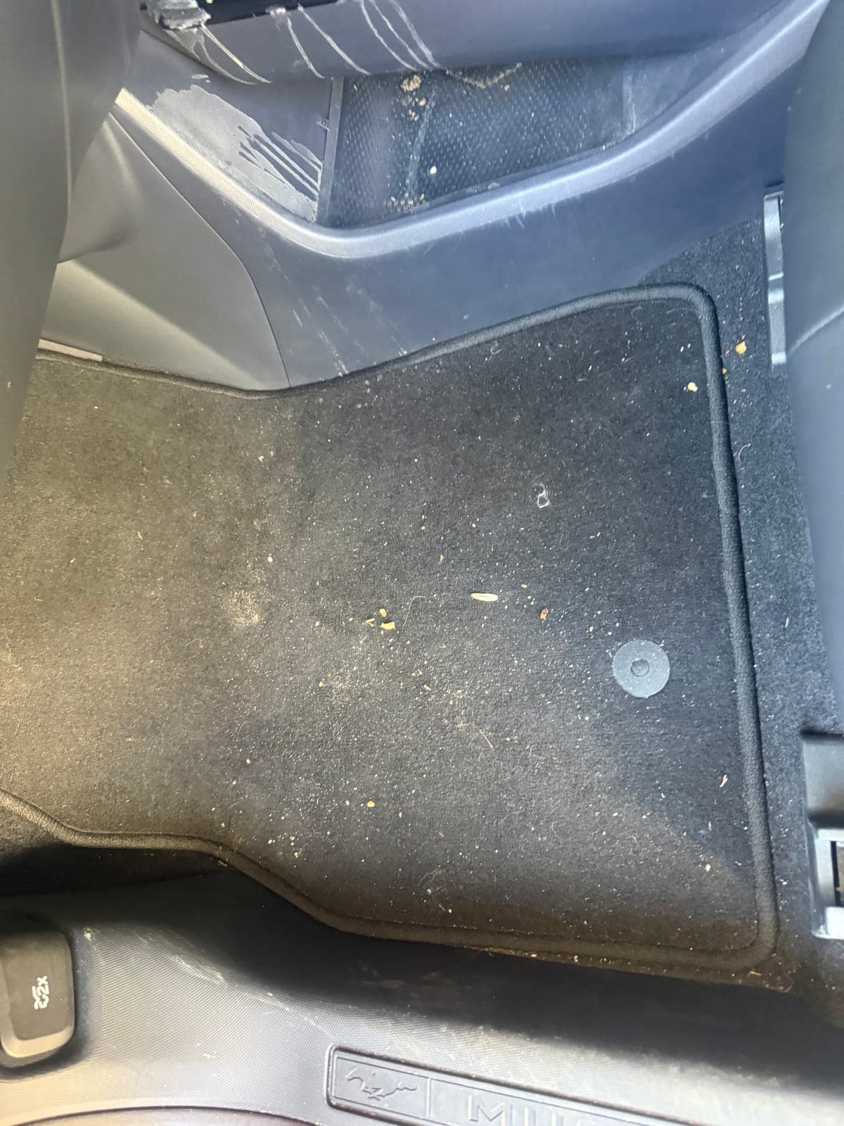 Before: dusty Mach-E floor mat ahead of an interior detail